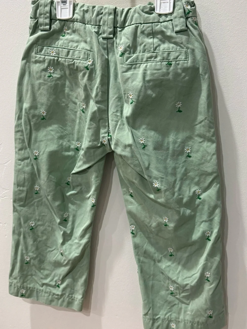 GAP Sage Green Daisy Embroidered Chinos